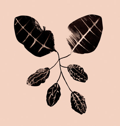 Revisiting our roots | Pitta