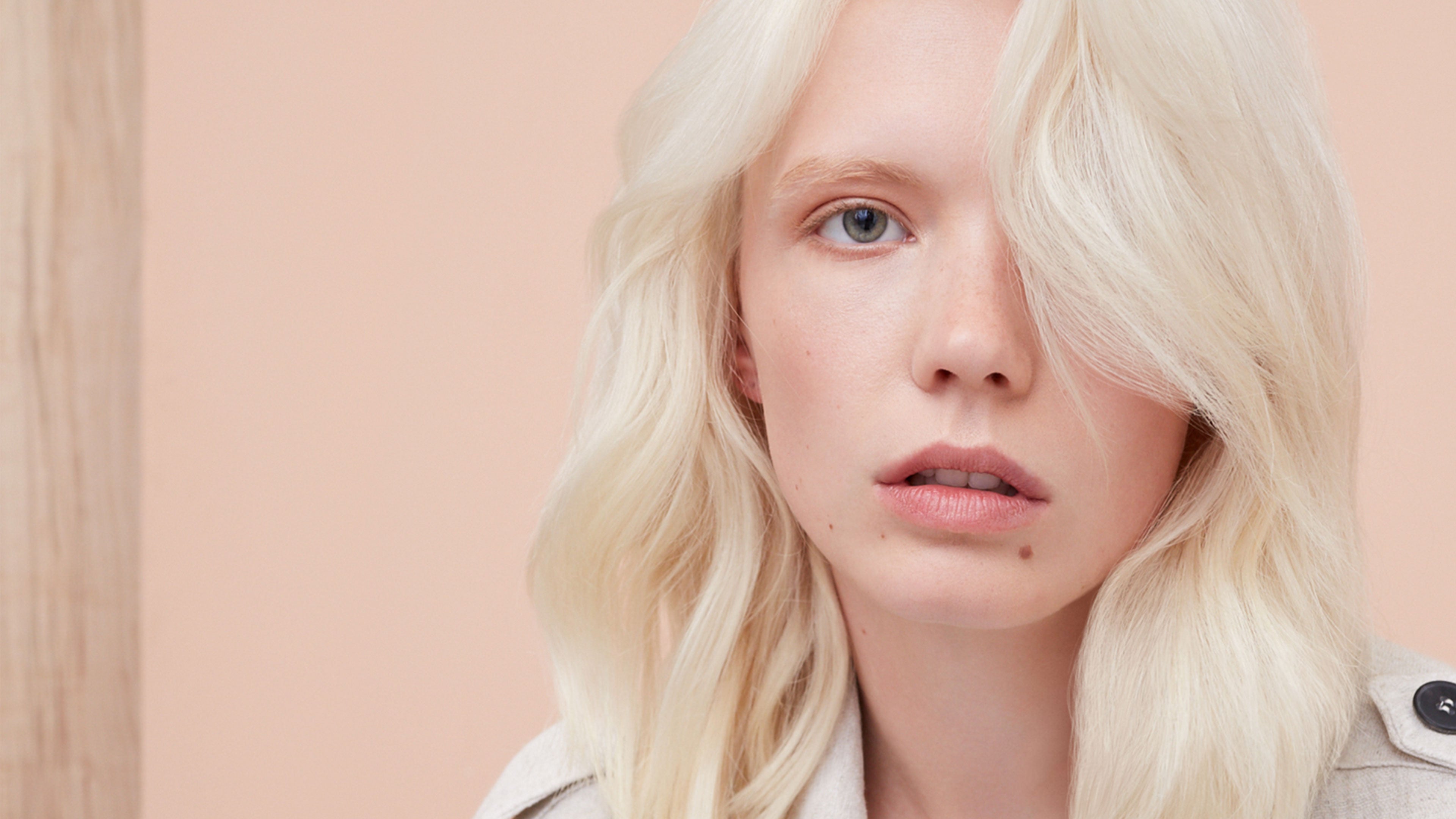 Chāmpo Haircare - shampoo and conditioner