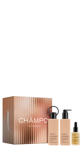 volumizing system gift set