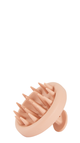 Shampoo brush gift
